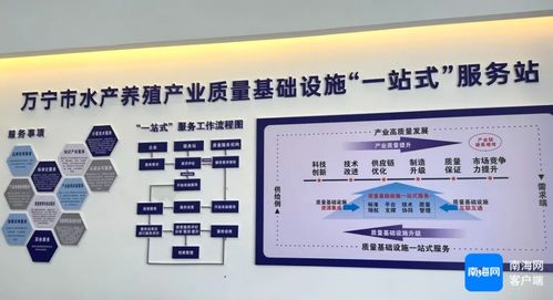 万宁市水产养殖产业质量基础设施一站式服务站揭牌成立，开启证照代办服务新篇章